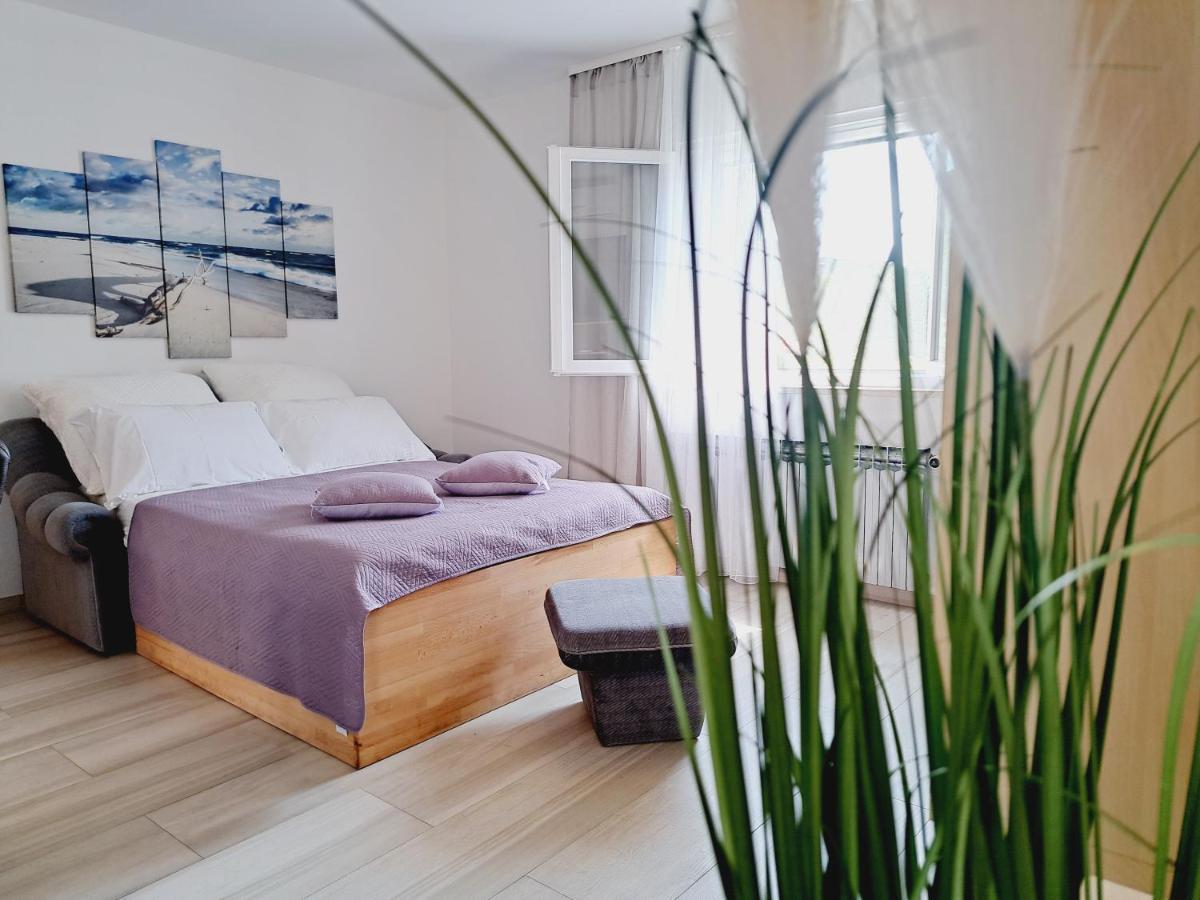 Apartments Darija & Pero Pucisca Zewnętrze zdjęcie